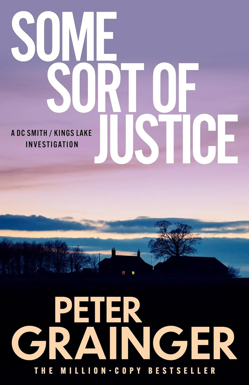 A DC Smith / Kings Lake Investigation. Some Sort of Justice. Book 17
