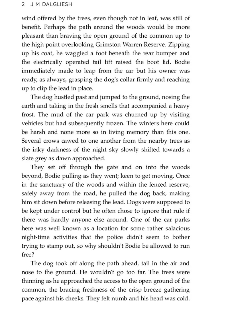 A Hidden Norfolk Murder Mystery. A Dark Sin. Book 8 — Дж. М. Далгліш, фото 5