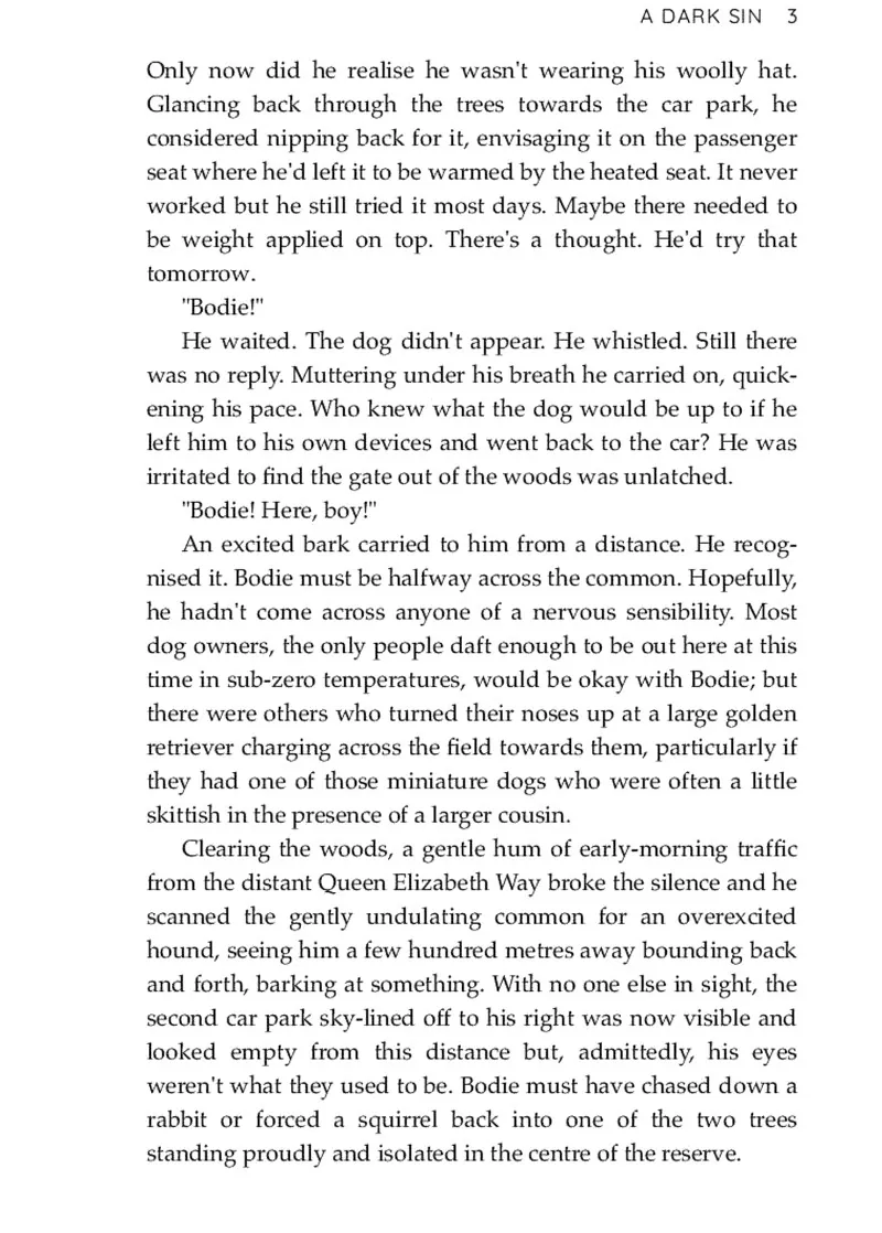 A Hidden Norfolk Murder Mystery. A Dark Sin. Book 8 — Дж. М. Далгліш, фото 6