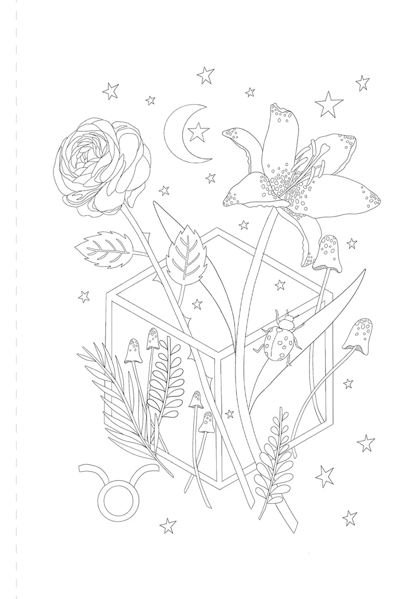 A Mystical Coloring Book. Zodiac Magic. 50 Inspiring Images to Color — Софія Ліотта, фото 3