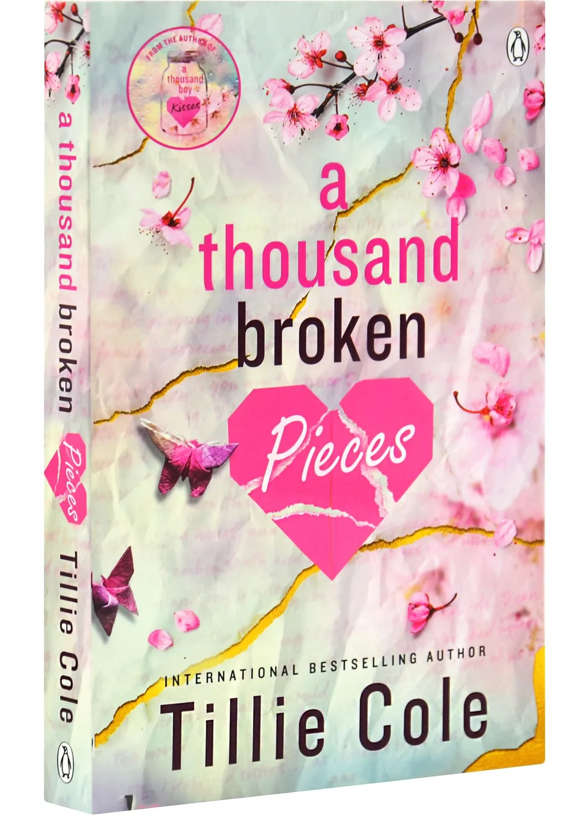 A Thousand Broken Pieces