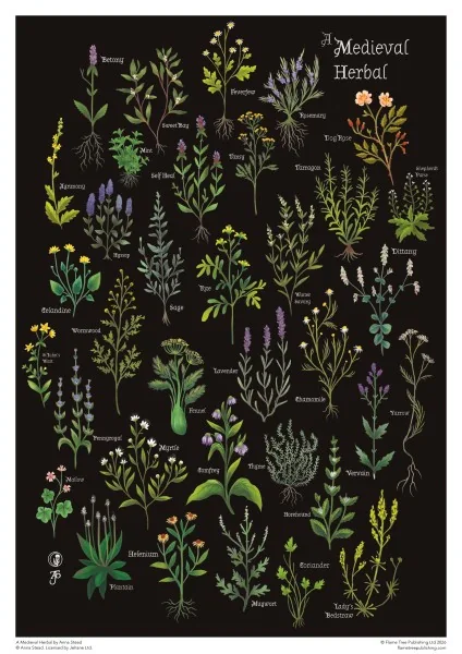 Adult Cylinder Jigsaw Puzzle Anna Stead: A Medieval Herbal 1000 Pieces,