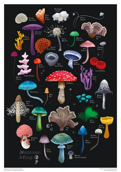 Adult Cylinder Jigsaw Puzzle Anna Stead: Mushrooms &amp; Fungi 1000 Pieces,