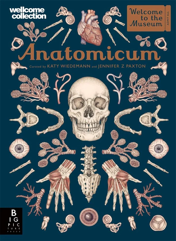 Anatomicum. Welcome to the Museum