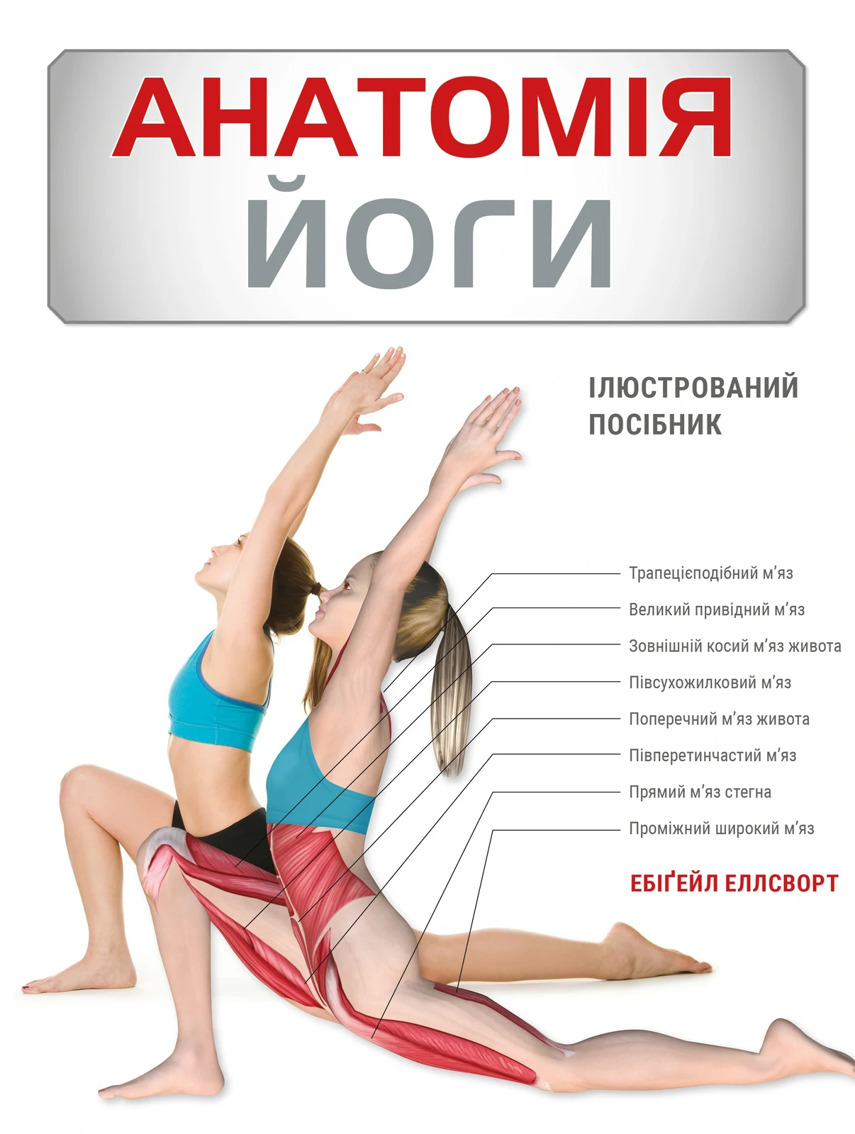 Анатомія йоги. Ілюстрований посібник,