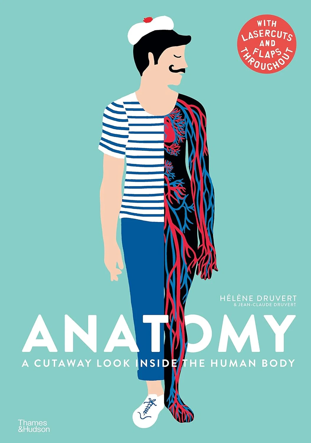Anatomy. A Cutaway Look Inside the Human Body