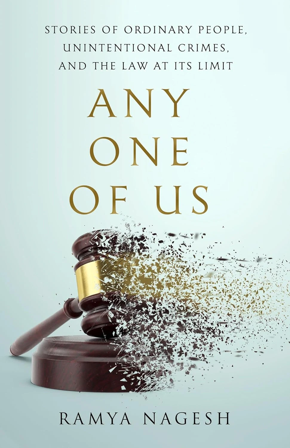 Any One of Us. Stories of Ordinary People, Unintentional Crimes, and the Law at Its Limit, Рам'я Нагеш