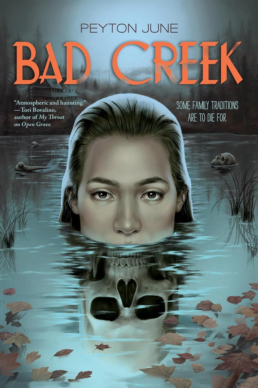 Bad Creek,
