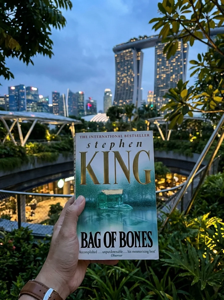 Bag of Bones — Стівен Кінг, обкладинка