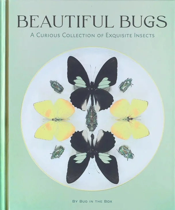 Beautiful Bugs. A Curious Collection of Exquisite Insects