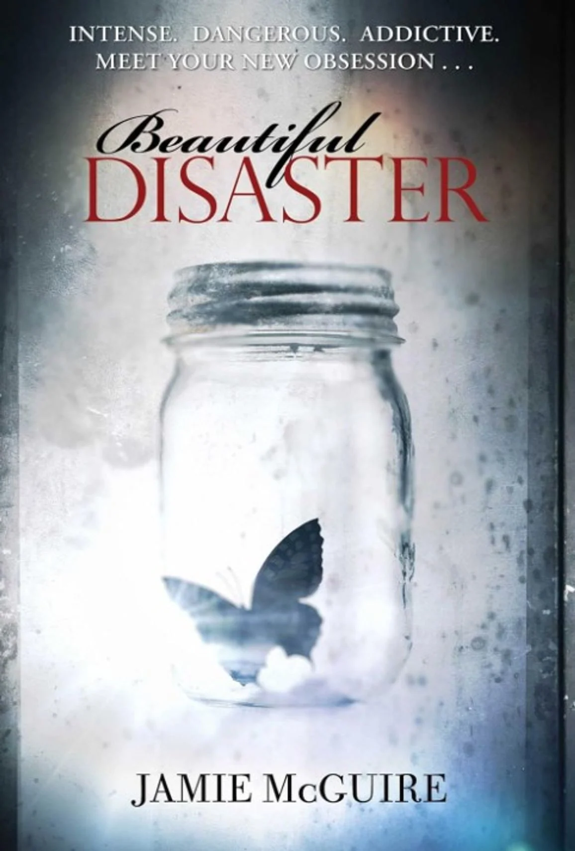 Beautiful Disaster