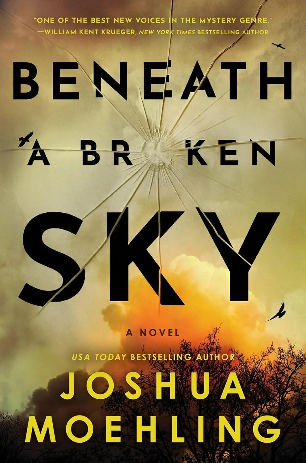 Ben Packard. Beneath a Broken Sky. Book 4