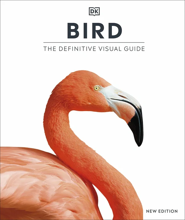 Bird,