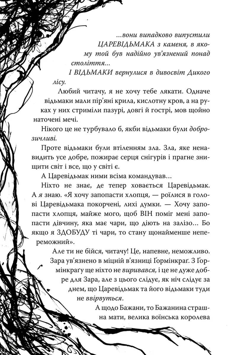 Були собі чаклуни. Чари другі. Книга 2 — Крессіда Ковелл, фото 6