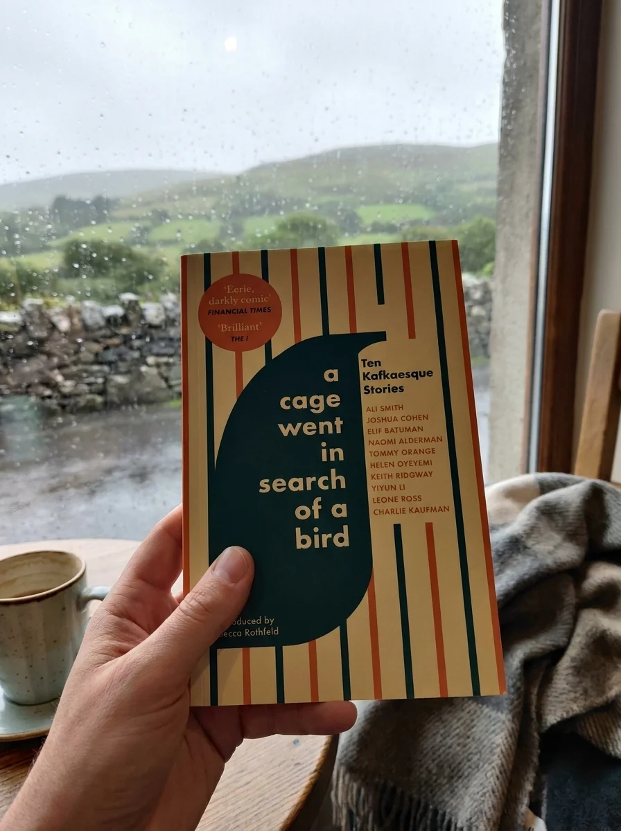 Cage Went in Search of a Bird — Keith Ridgway, обкладинка