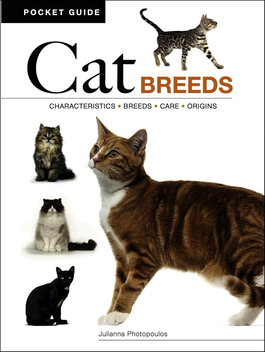 Cat Breeds: Characteristics, Breeds, Care, Origins