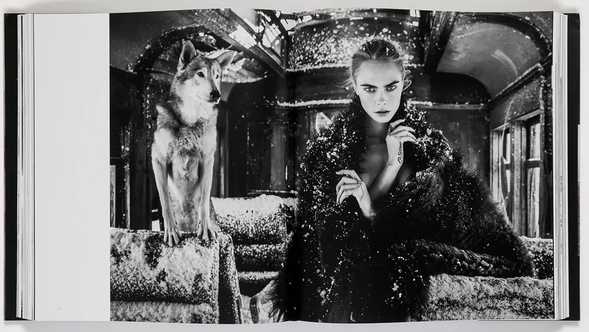 David Yarrow: The Collection — Девід Ярроу, фото 4