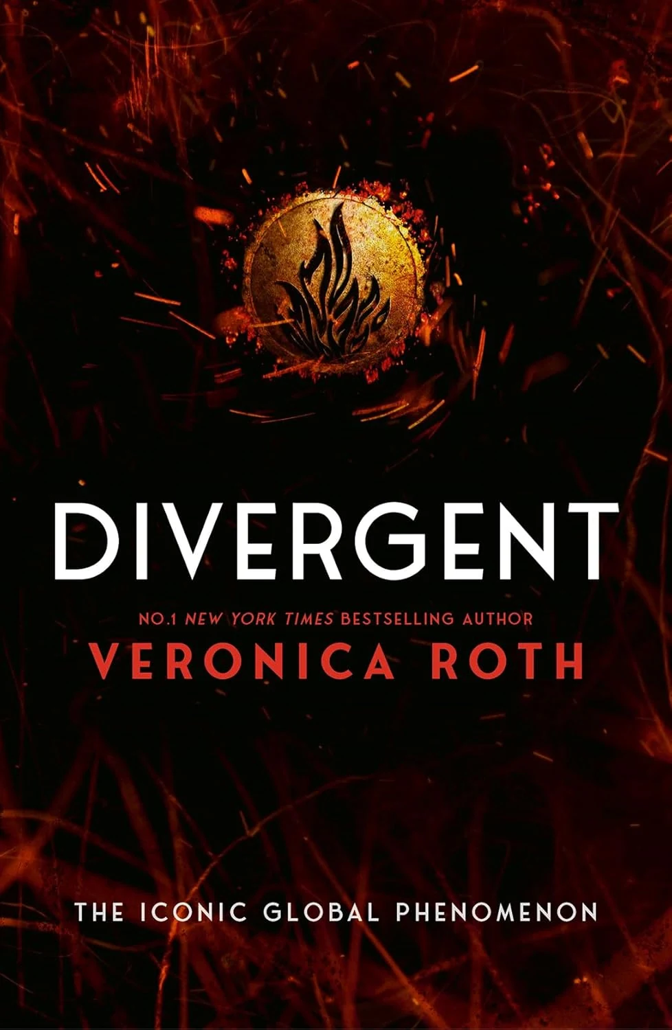 Divergent Series Book 1. Divergent