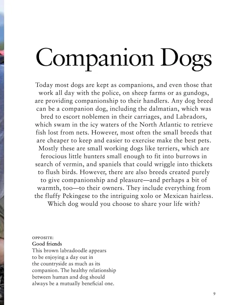 Dog Breeds: Characteristics, Breeds, Care, Origins — Том Джексон, фото 5