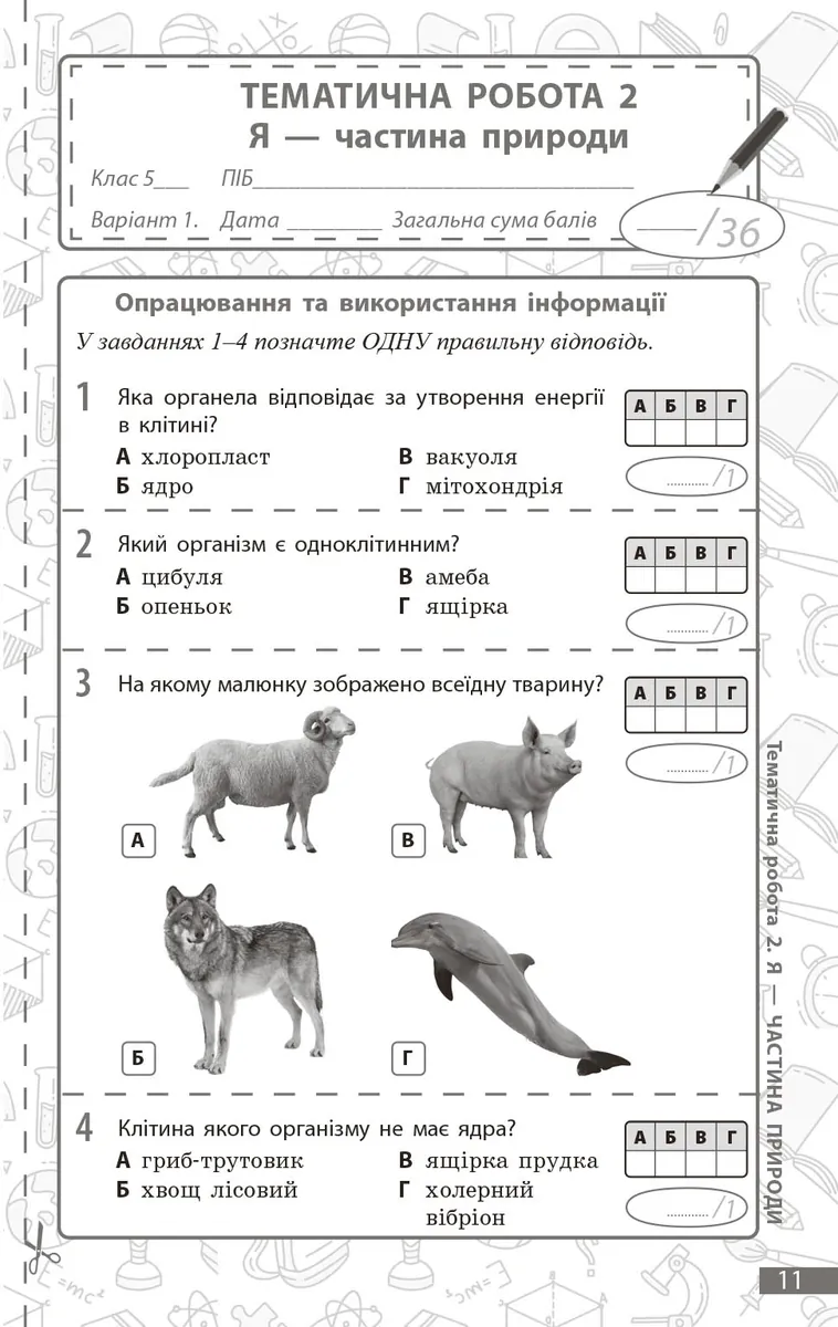 Довкілля. 5 клас. Поточне та підсумкове оцінювання + діагностувальні роботи — К. В. Кот, фото 5