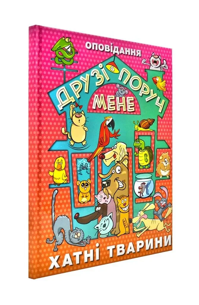 Друзі поруч мене