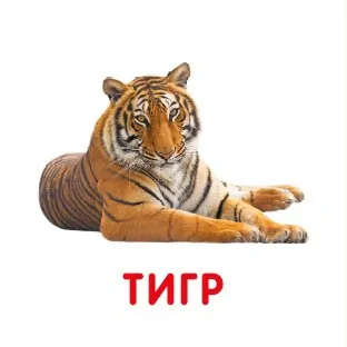 Дикі тварини. Перша книжка малюка, фото 5