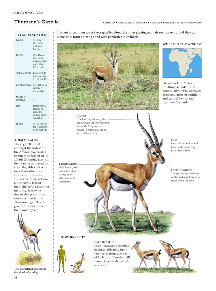 Encyclopedia of Animals — Девід Олдертон, фото 6