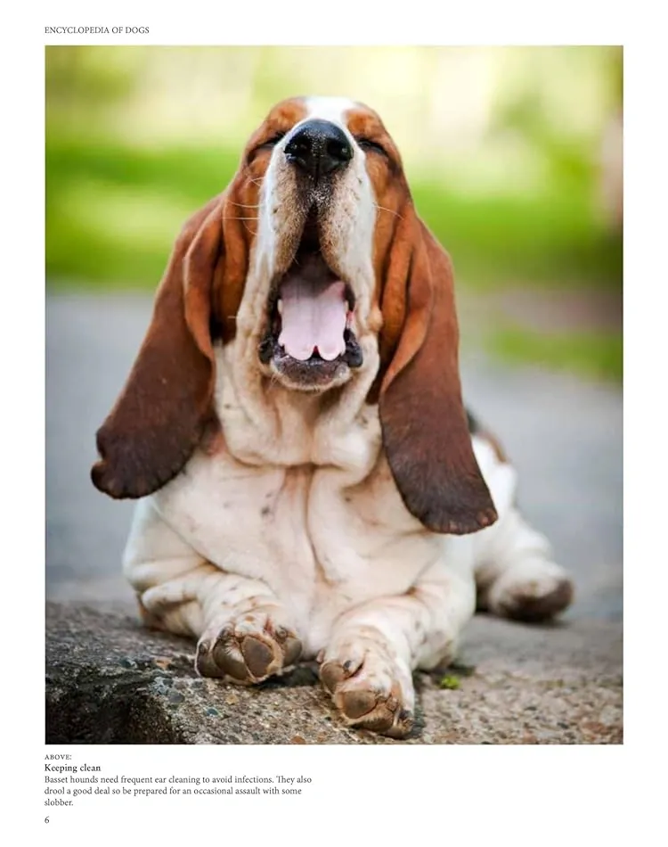 Encyclopedia of Dogs — Том Джексон, фото 4