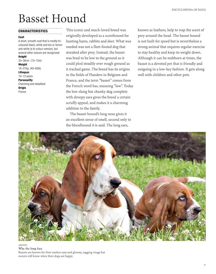 Encyclopedia of Dogs — Том Джексон, фото 5