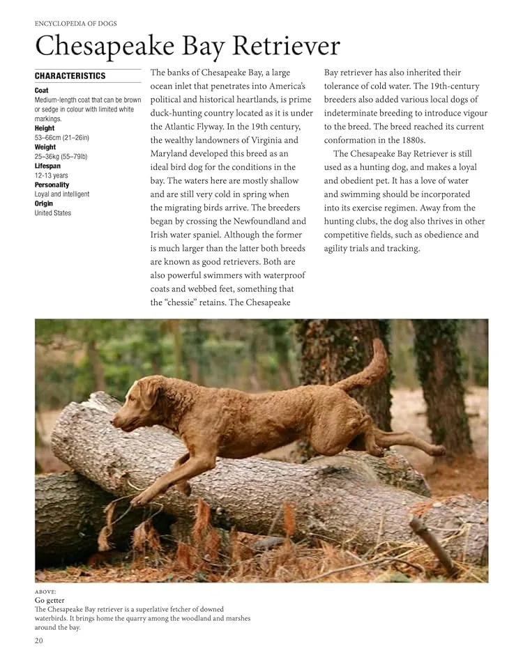 Encyclopedia of Dogs — Том Джексон, фото 6