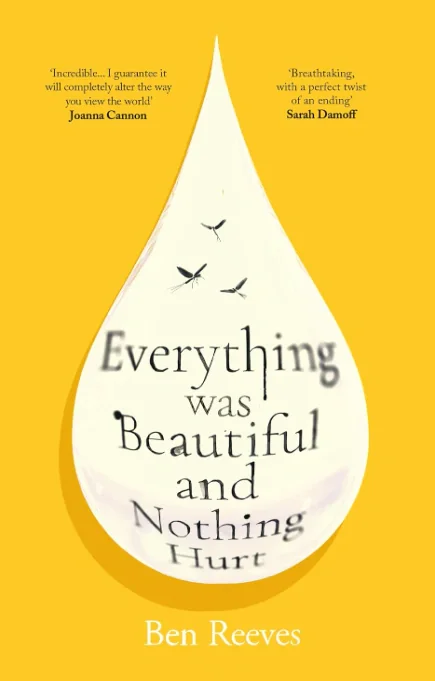 Everything was Beautiful and Nothing Hurt