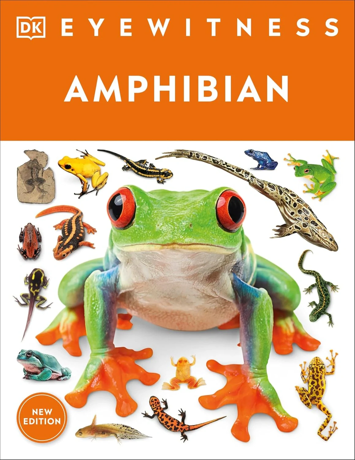 Eyewitness. Amphibian,