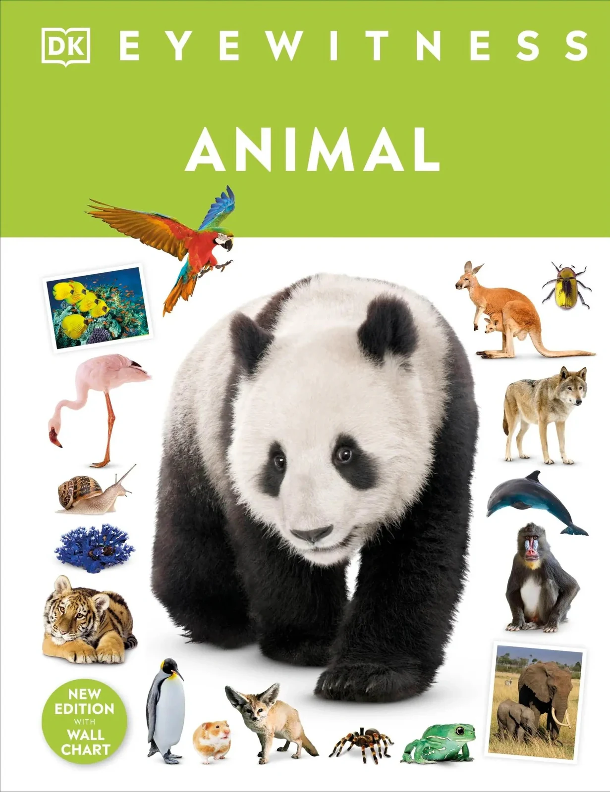 Eyewitness. Animal,