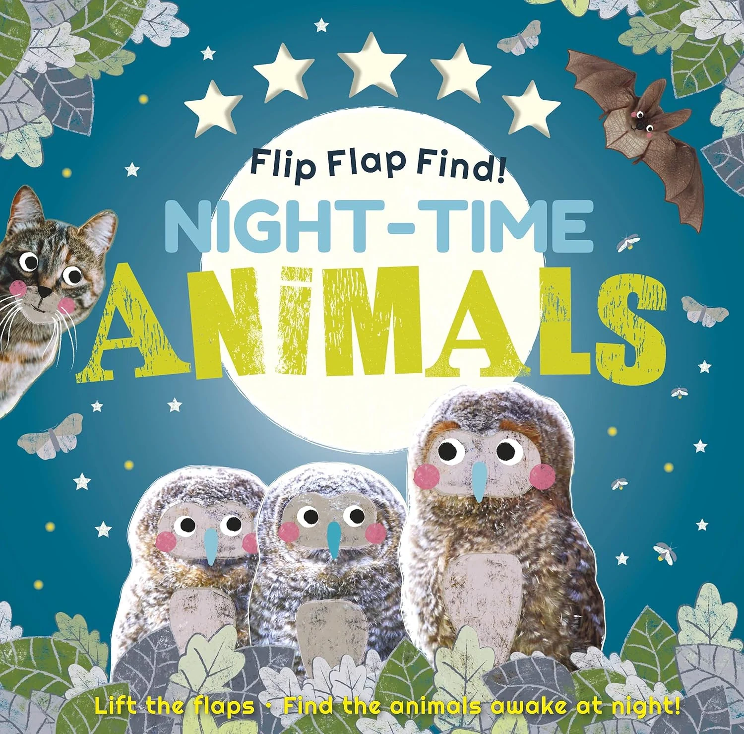 Flip Flap Find! Night-time Animals,