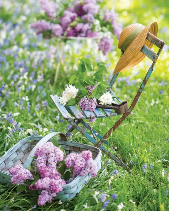 French Blooms. Floral Arrangements Inspired by Paris and Beyond — Сандра Сігман, фото 6