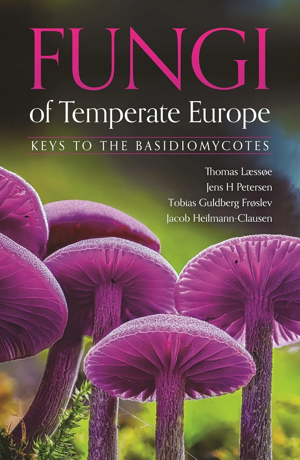 Fungi of Temperate Europe,