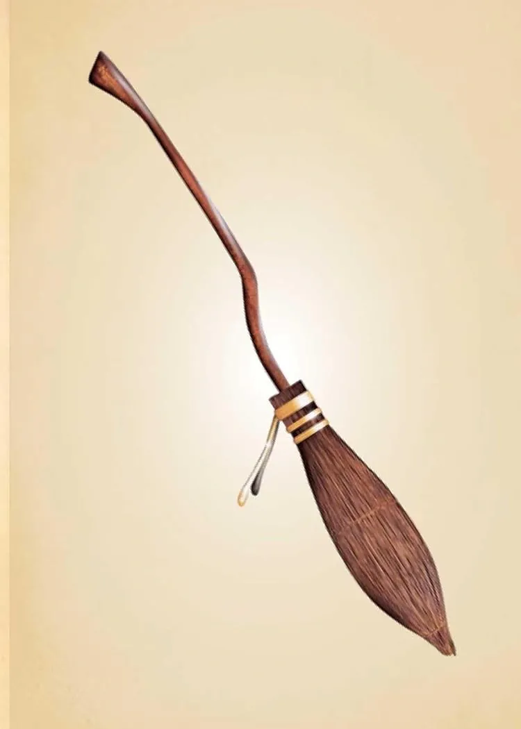 Harry Potter: The Mini Book of Brooms — Джоді Ревенсон, фото 4