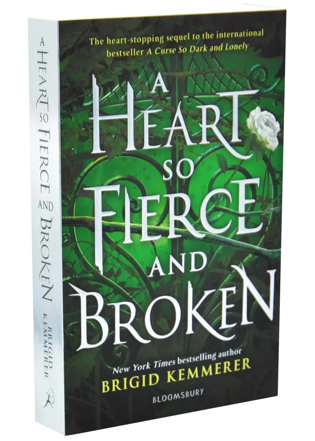 Heart So Fierce and Broken