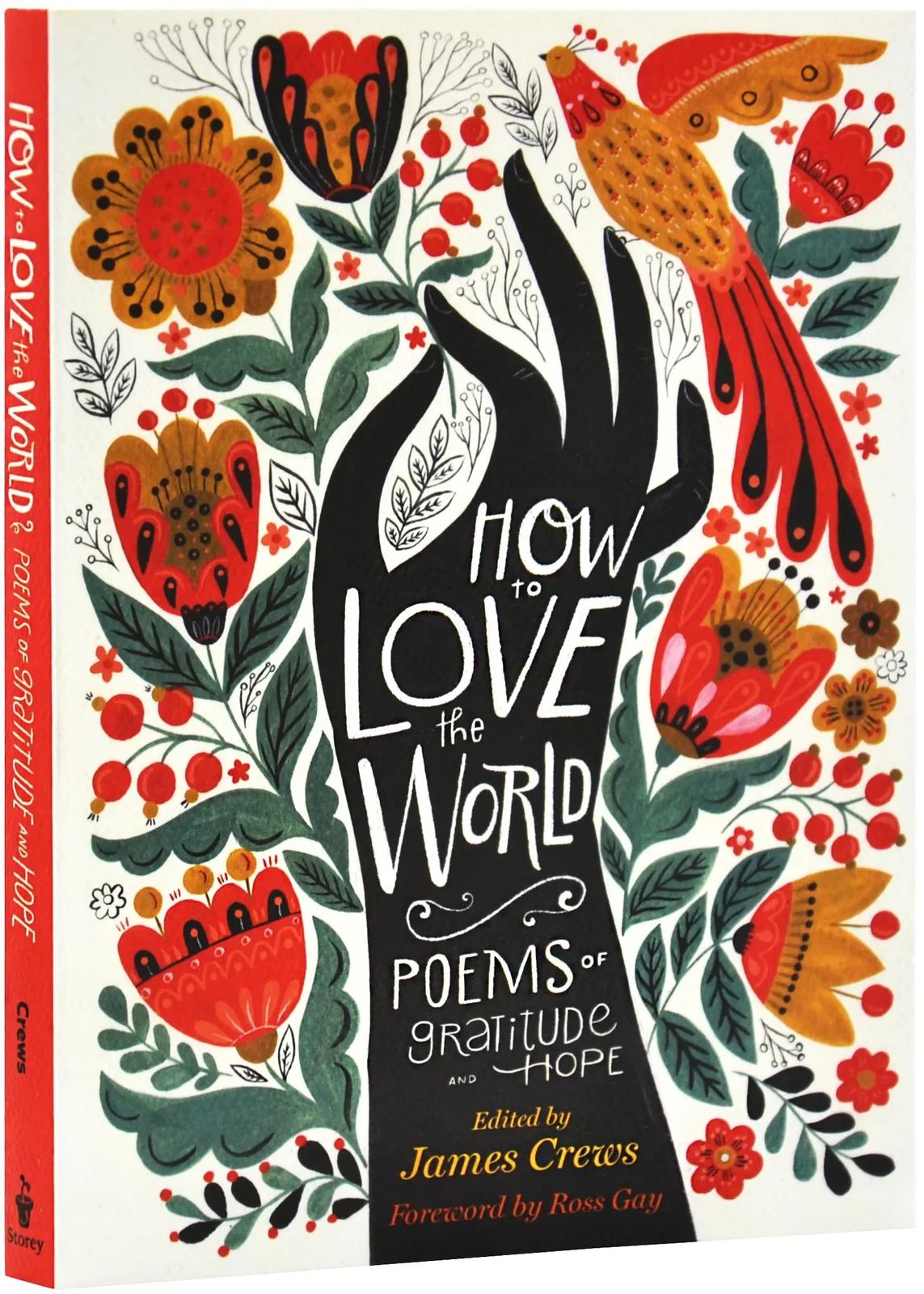 How to Love the World: Poems of Gratitude and Hope