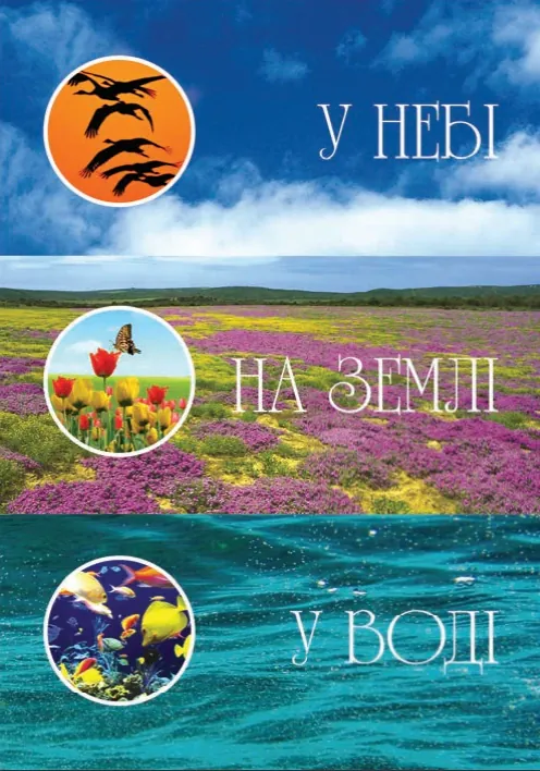 Я досліджую світ. 1-4 класи. Дивокрай. Частина 2 — Ігор Січовик, фото 3
