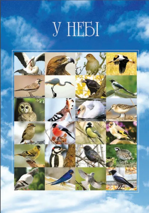 Я досліджую світ. 1-4 класи. Дивокрай. Частина 2 — Ігор Січовик, фото 4