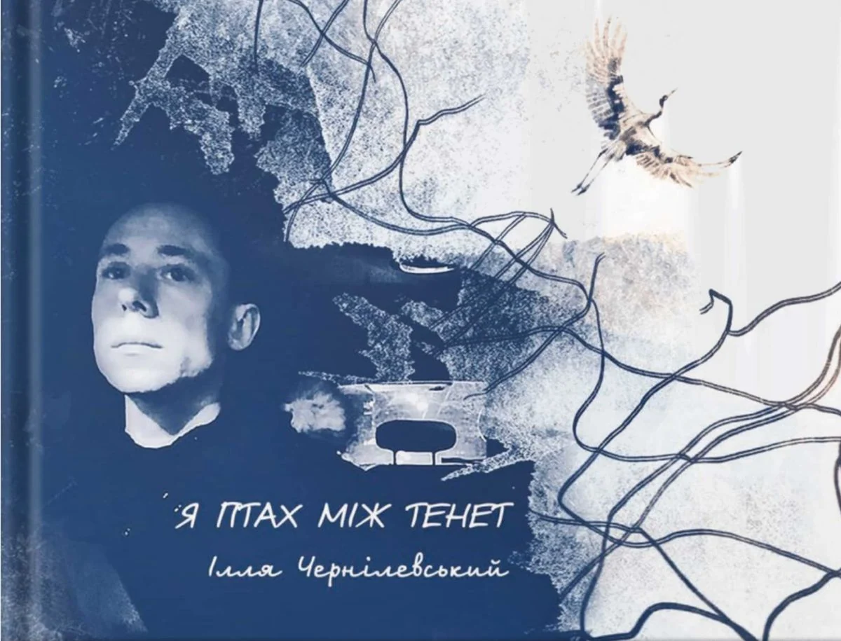 Я птах між тенет
