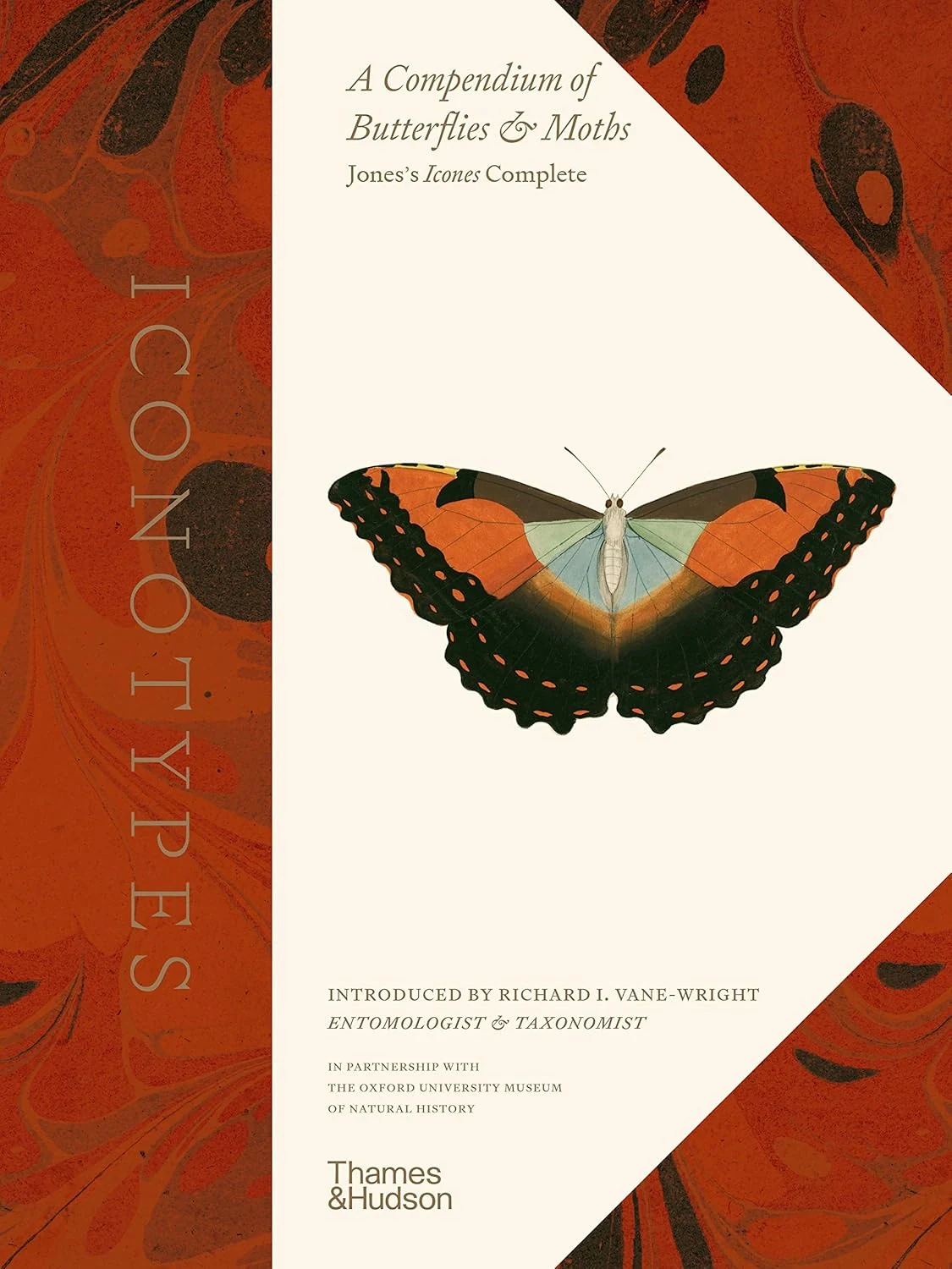 Iconotypes. A compendium of butterflies and moths. Jones’s Icones Complete,