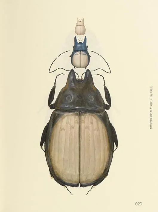 Insectile Inspiration. Insects in Art and Illustration, фото 5