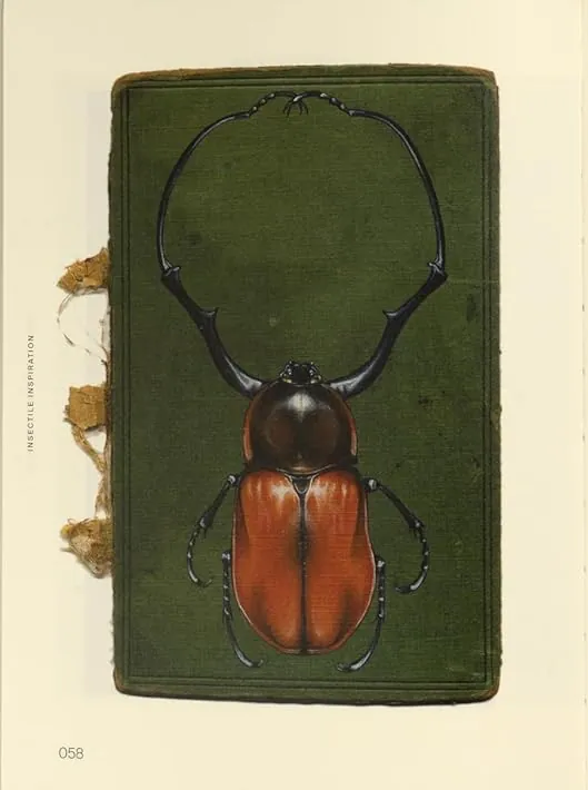 Insectile Inspiration. Insects in Art and Illustration, фото 6
