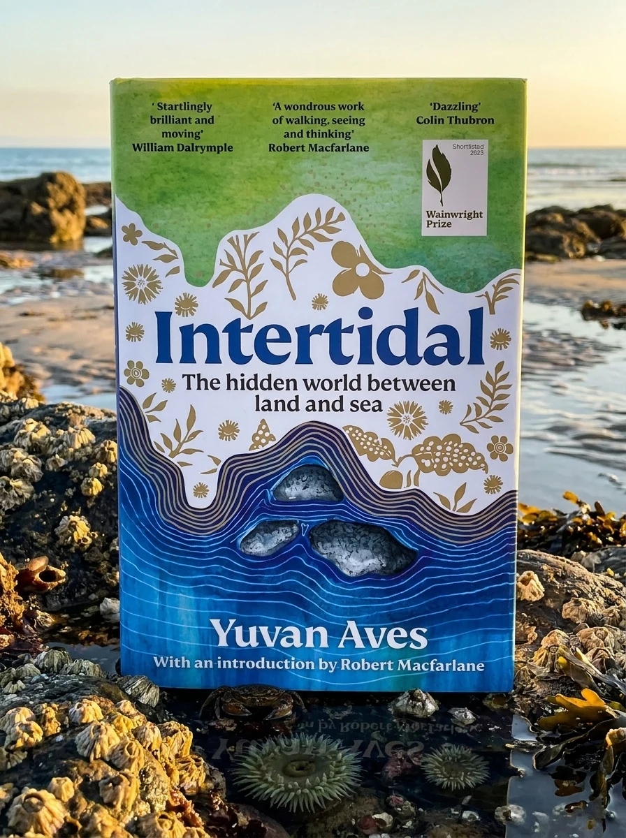 Intertidal