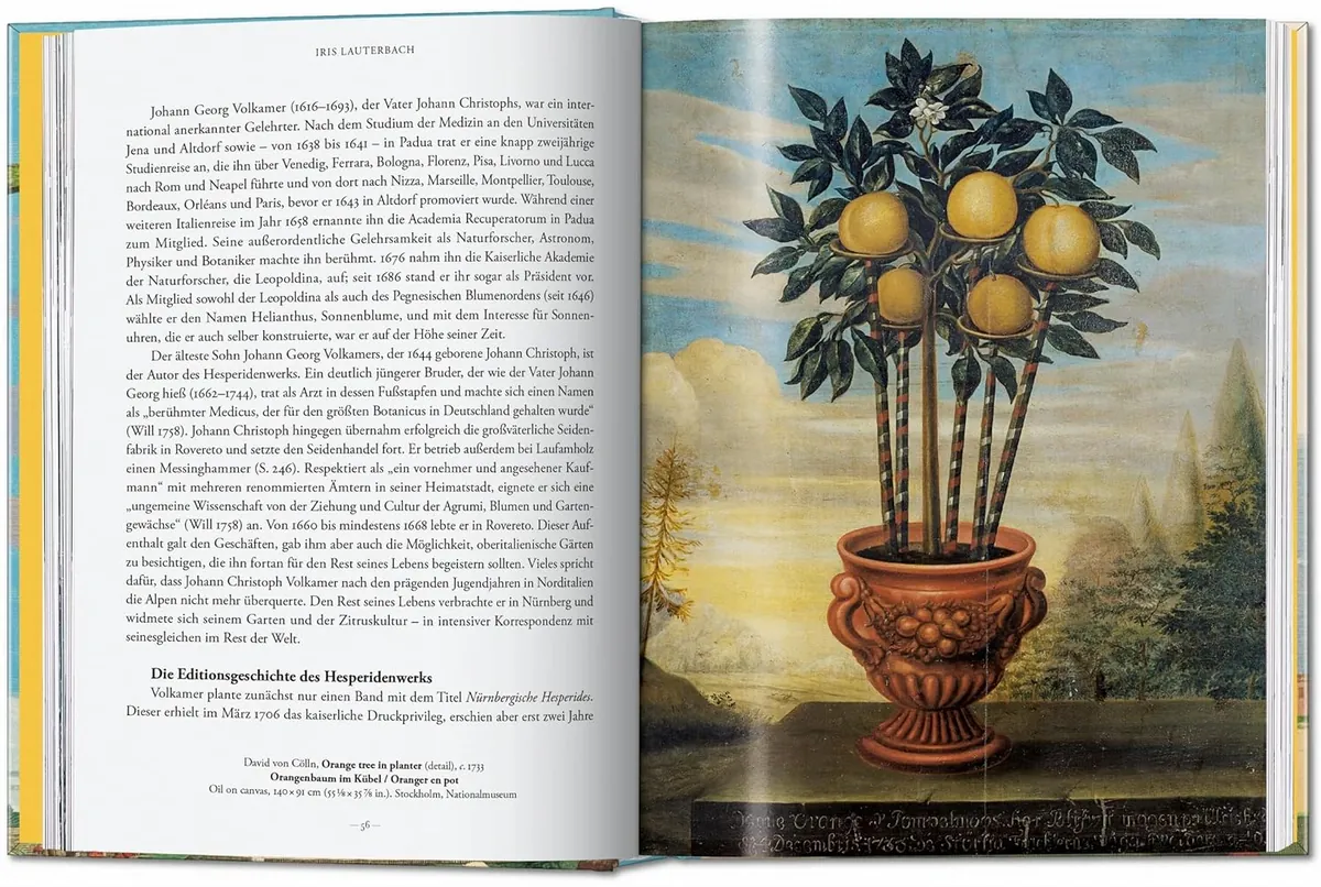 J. C. Volkamer. The Book of Citrus Fruits. 45th Edition — Айріс Лаутербах, фото 6