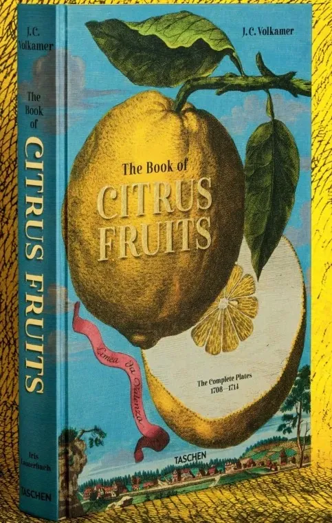 J. C. Volkamer. The Book of Citrus Fruits — Айріс Лаутербах, фото 4