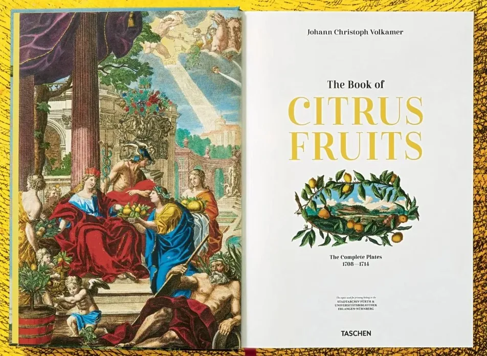 J. C. Volkamer. The Book of Citrus Fruits — Айріс Лаутербах, фото 5