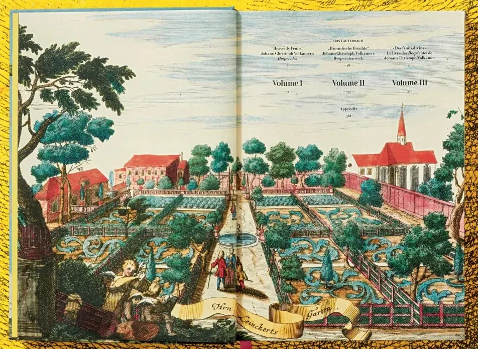 J. C. Volkamer. The Book of Citrus Fruits — Айріс Лаутербах, фото 6